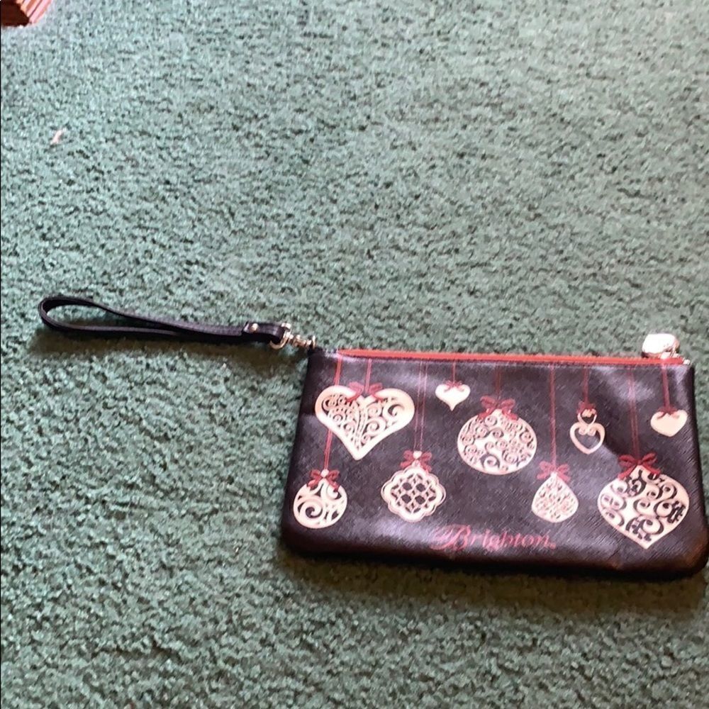 Brighton clutch/ makeup bag